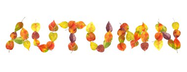 word sonbahar düşmüş yaprakları