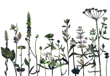 Arka plan bitki ve çiçek çizim ile