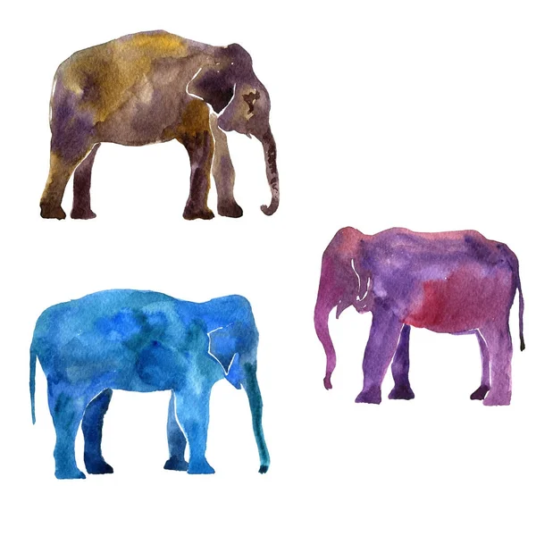 Aantal olifanten silhouetten — Stockfoto