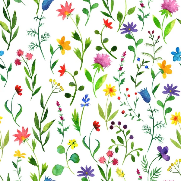 Modello senza soluzione di continuità con acquerello doodle piante e fiori — Foto Stock
