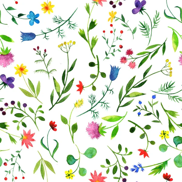 Seamless pattern with watercolor doodle plants and flowers — Stock Photo, Image
