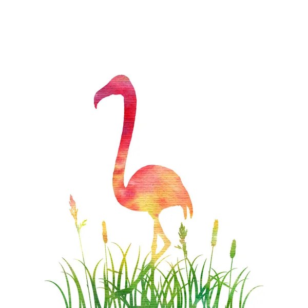 Flamingo em silhueta de grama — Fotografia de Stock