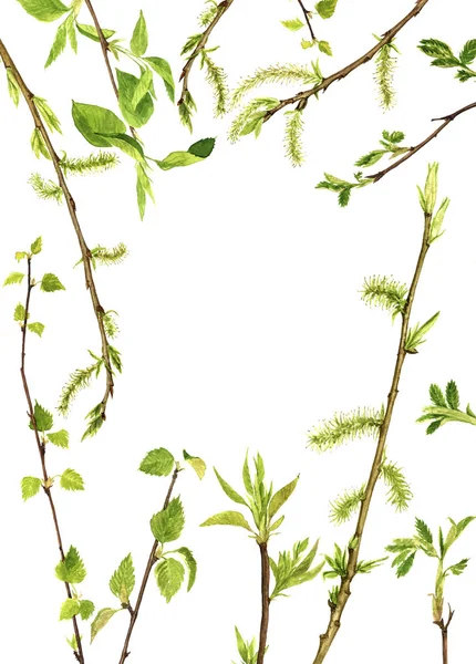 Watercolor wood twigs — Stock Photo, Image