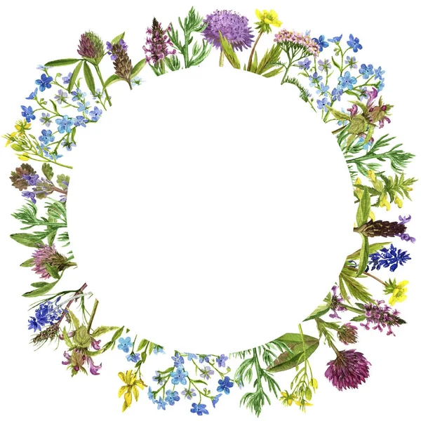 Acuarela dibujo flores y plantas — Foto de Stock