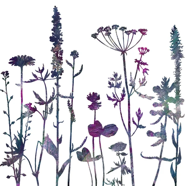 Fundo com o desenho de ervas e flores — Fotografia de Stock