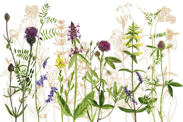 Sulu Boya çizim çiçek ve bitki