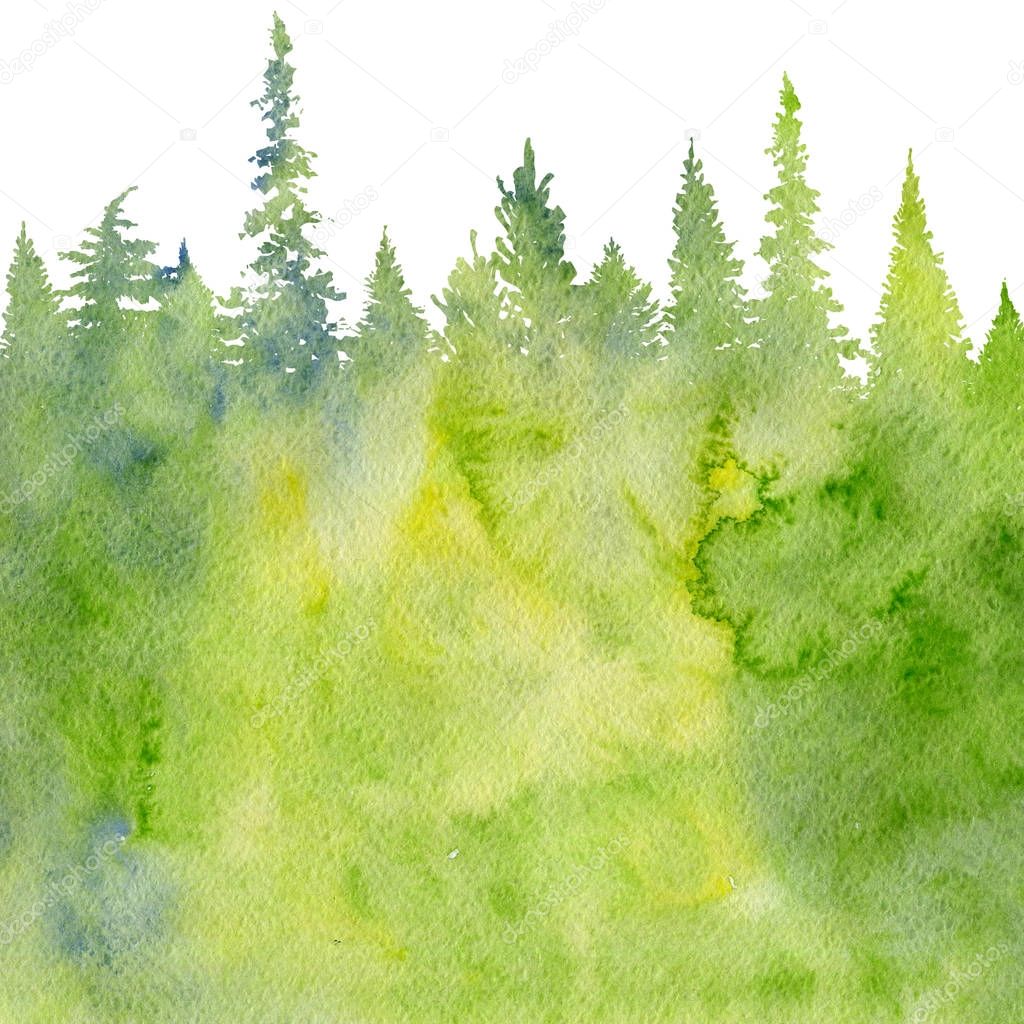 watercolor landscape with fir trees