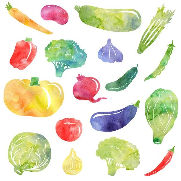 Vegetable watercolor silhouette — Stock Photo, Image