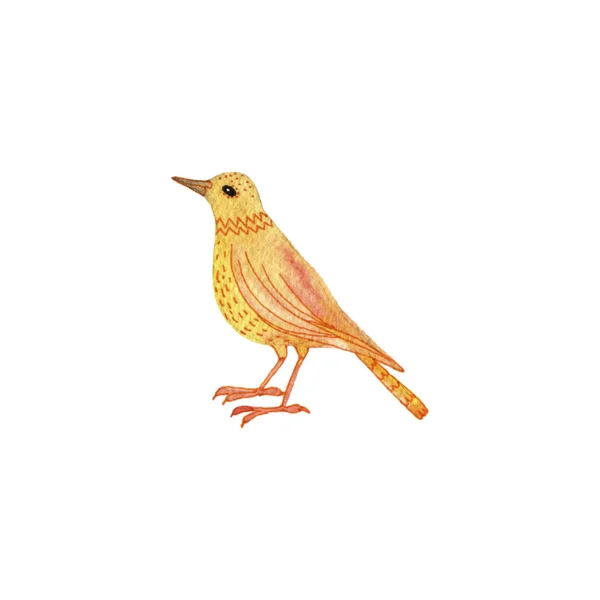 Suluboya çizim kuşu — Stok fotoğraf
