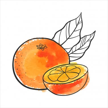 Çizim turuncu vektör