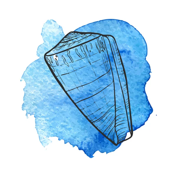手描きの背景の貝殻 — ストックベクタ