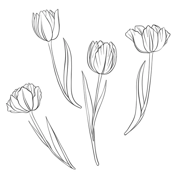 Vettoriale disegno fiori — Vettoriale Stock