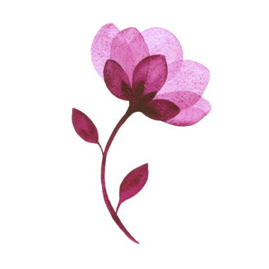 Suluboya çiçek siluet