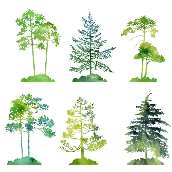 Watercolor set of conifer trees — Stock Photo, Image
