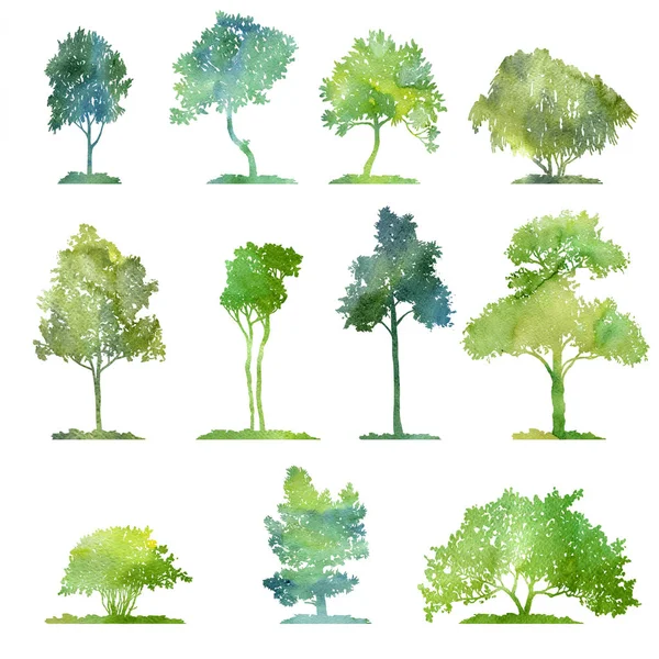 Conjunto aquarela de árvores caducas — Fotografia de Stock