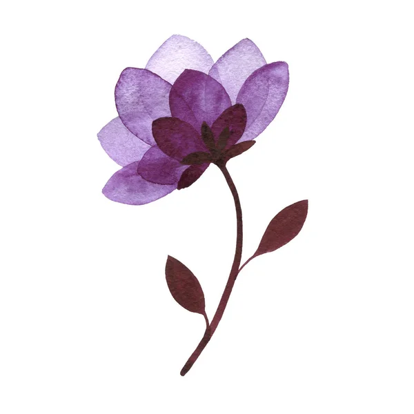 สีน้ํา ดอกไม้ สีลูเอท — ภาพถ่ายสต็อก
