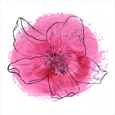 vektör çizim çiçek