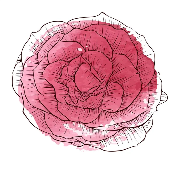 Vector dibujo flor — Vector de stock