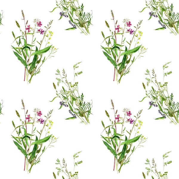 Bezszwowy wzór z akwarelą rysunek dzikie kwiaty — Zdjęcie stockowe