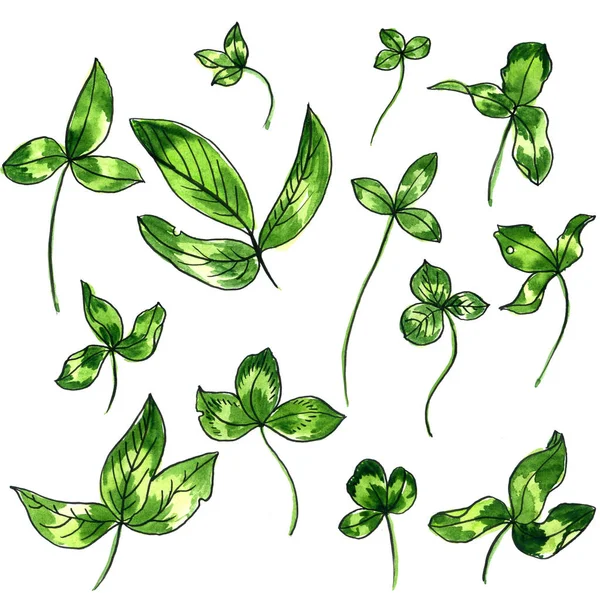 Akwarela doodle zielonych liści — Zdjęcie stockowe