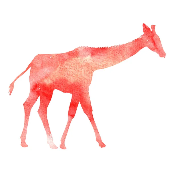 Silhueta aquarela de girafa — Fotografia de Stock