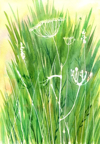 Akvarelu výkresu plevel — Stock fotografie