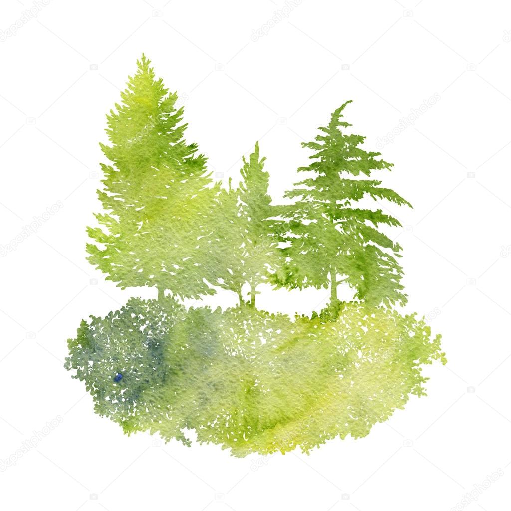 watercolor landscape with fir trees