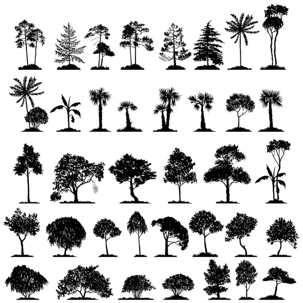 Ensemble vectoriel d'arbres à feuilles caduques — Image vectorielle