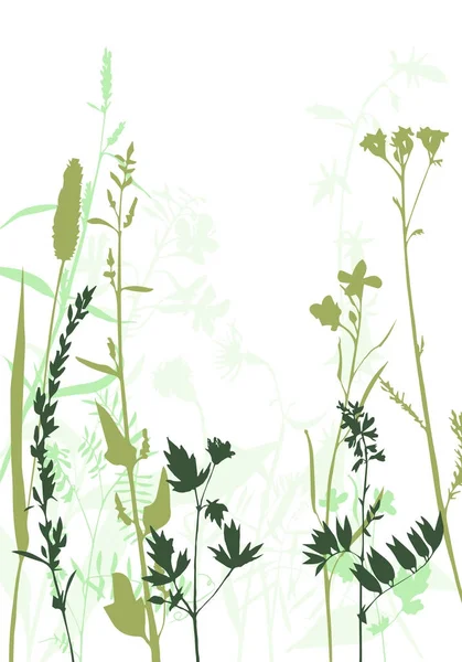 Vector silhouetten van bloemen en gras — Stockvector