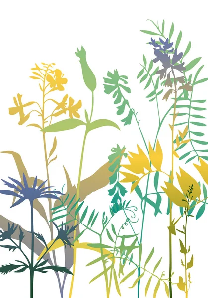 花和草的向量轮廓 — 图库矢量图片