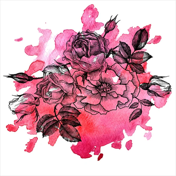 水彩画背景ベクトル花要素 — ストックベクタ