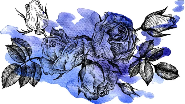 Élément floral vectoriel à fond aquarelle — Image vectorielle