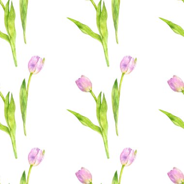 Sulu Boya Pembe Lale ile Seamless Modeli