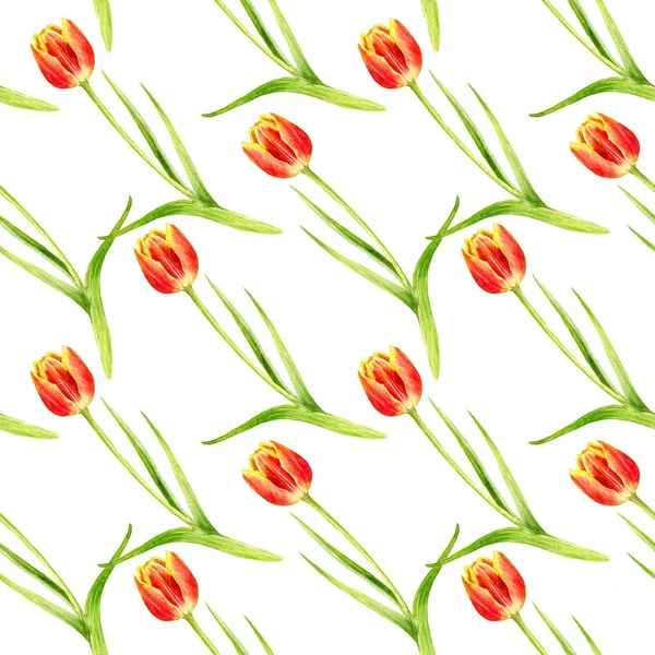 Seamless pattern with watercolor red tulips — Stock Photo, Image