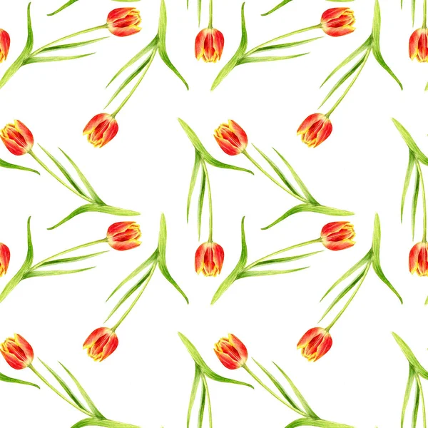 Bezešvé vzor s akvarel červené tulipány — Stock fotografie