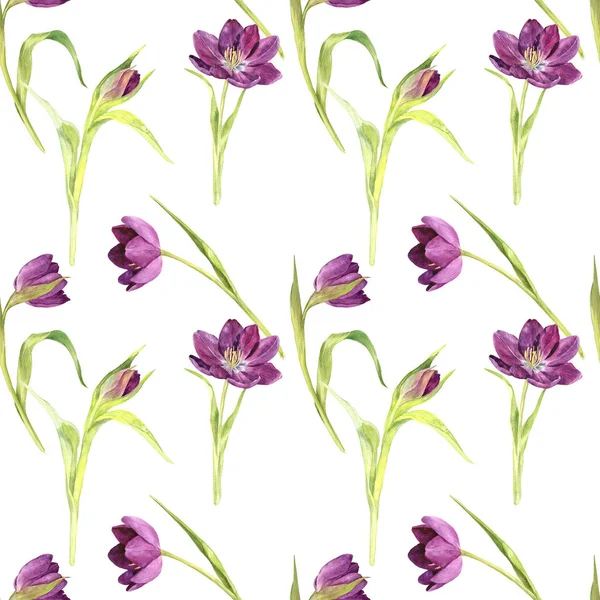 Patrón sin costuras con tulipanes de color púrpura acuarela —  Fotos de Stock