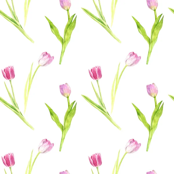 无缝模式与水彩的粉红色郁金香 — 图库照片