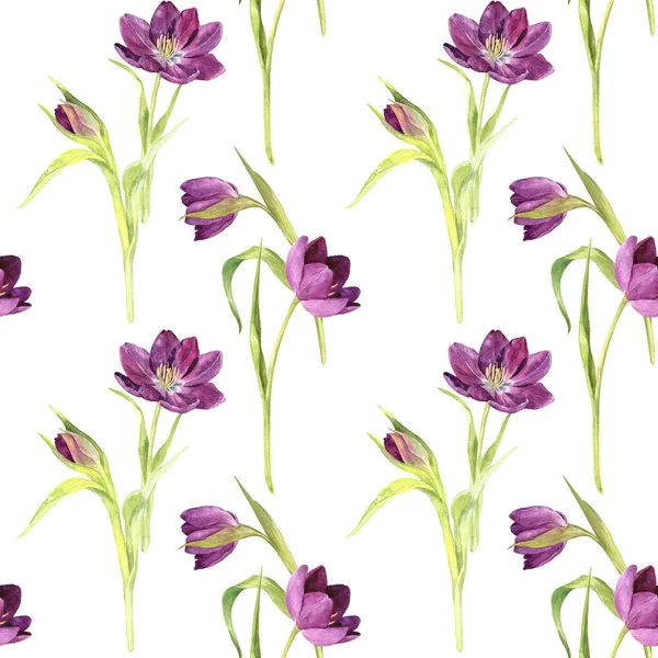 带水彩紫色郁金香的无缝图案 — 图库照片
