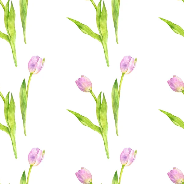 Seamless pattern with watercolor pink tulips — Stock Photo, Image