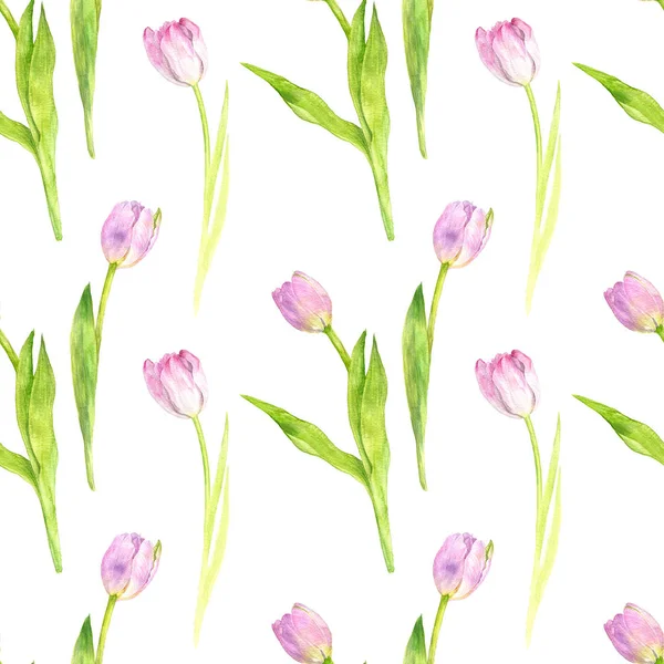 Seamless pattern with watercolor pink tulips — Stock Photo, Image