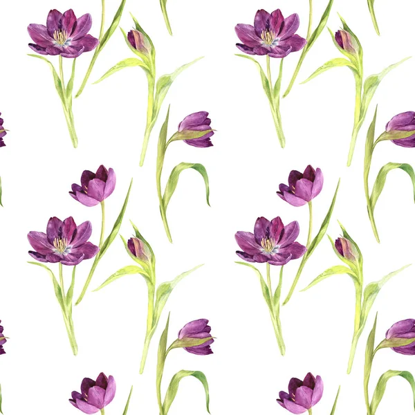Nahtloses Muster mit Aquarell lila Tulpen — Stockfoto