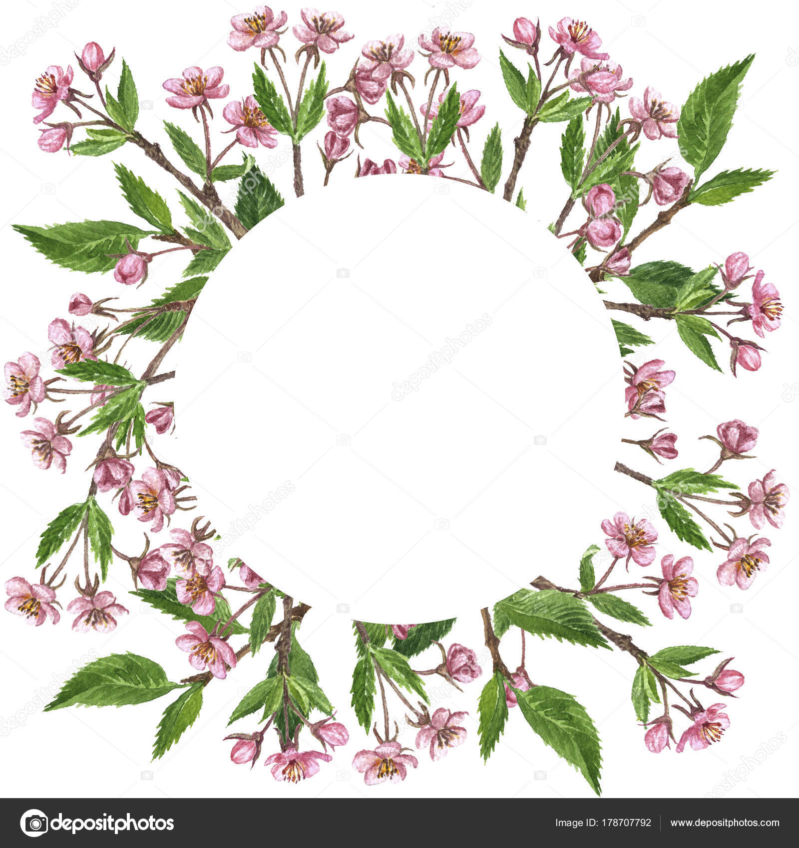 Cornice floreale con ramo di ciliegio con foglie germogli e fiori disegno di acquerello fondo naturale disegnato a mano — Foto di cat arch angel