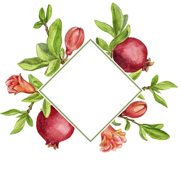 Šablona s větve ovocných stromů, listů, květin a granátová jablka — Stock fotografie