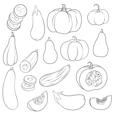 vektör çizim kabaklar