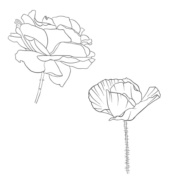 Vektor ritning blommor — Stock vektor