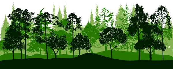 Vector paisaje con pinos — Vector de stock