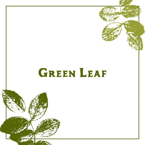 Tempalte con siluetas de hojas — Vector de stock