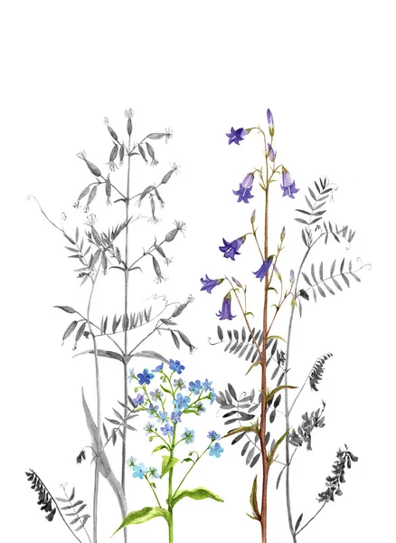 Spring concept. flowers against white background. — Stock Photo