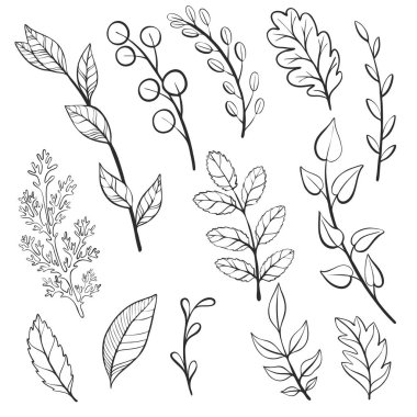 vektör yaprak ve bitki doodle