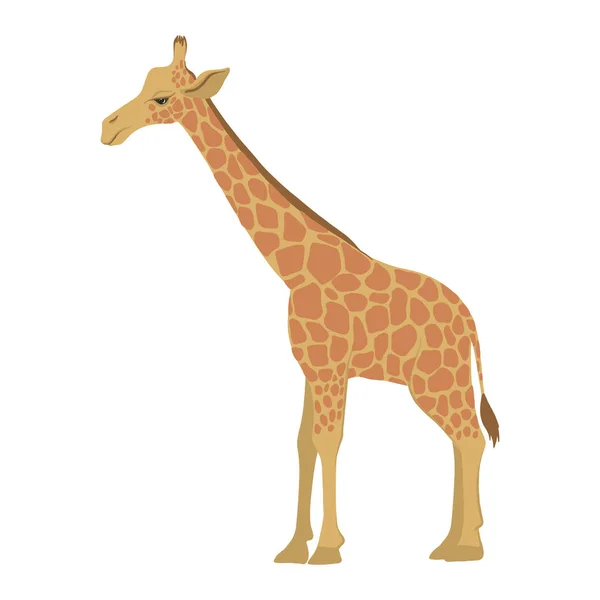Векторный жираф — стоковый вектор